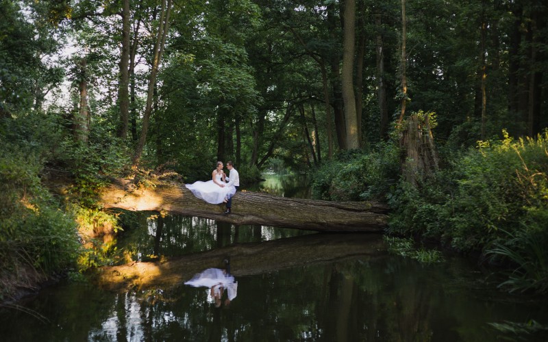 tytuł do uzupełnienia 